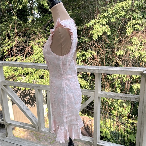 Hello Molly Keep Your Dreams Blush Jacobean Embellished Mini Dress US Size 6 NWT - Picture 7 of 15